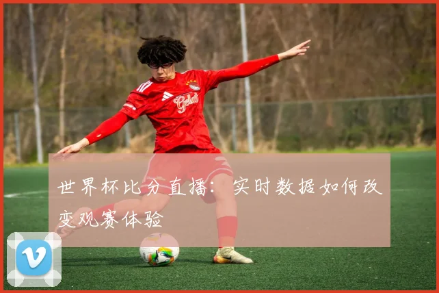 世界杯比分直播：实时数据如何改变观赛体验