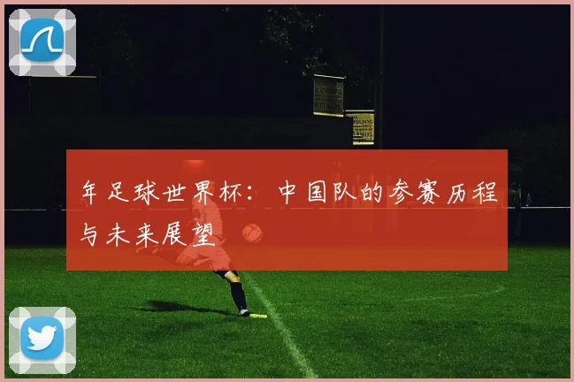年足球世界杯:中国队的参赛历程与未来展望