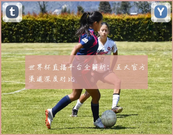 世界杯直播平台全解析:五大官方渠道深度对比