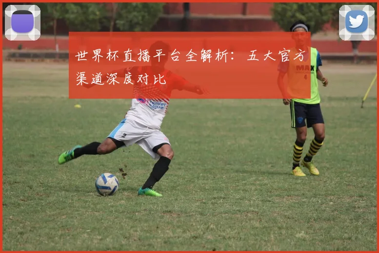 世界杯直播平台全解析:五大官方渠道深度对比