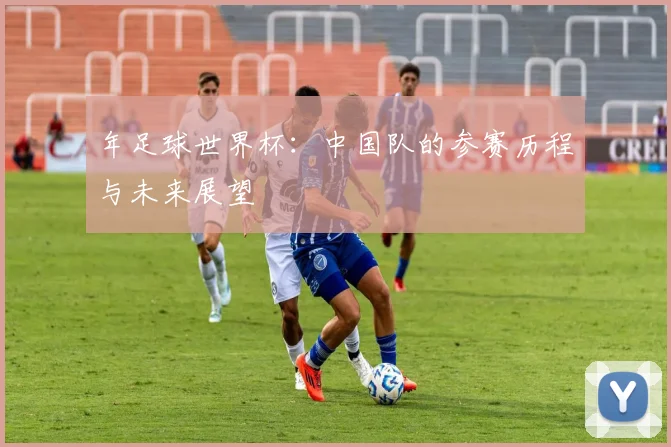年足球世界杯:中国队的参赛历程与未来展望