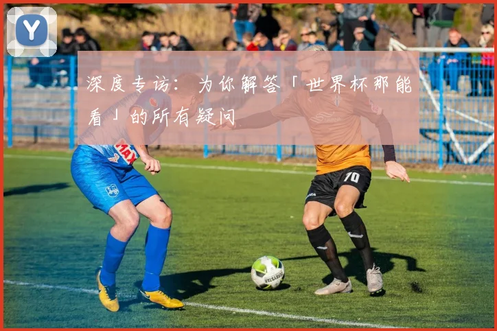深度专访:为你解答「世界杯那能看」的所有疑问