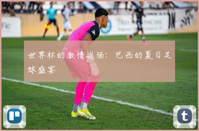 世界杯的激情战场:巴西的夏日足球盛宴