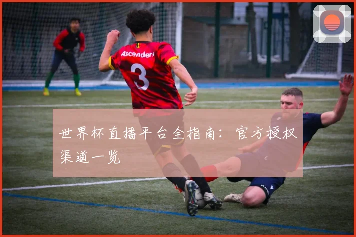 世界杯直播平台全指南:官方授权渠道一览