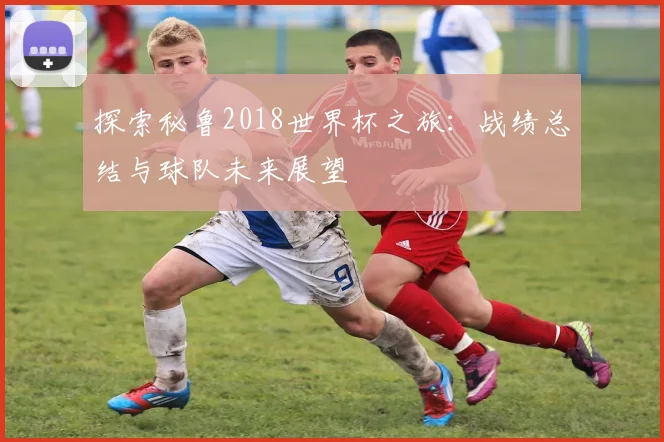 探索秘鲁2018世界杯之旅：战绩总结与球队未来展望