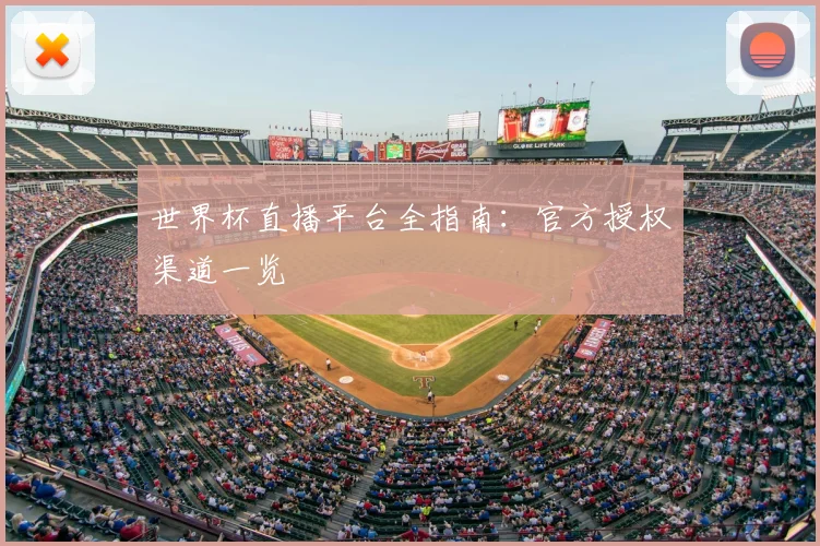 世界杯直播平台全指南:官方授权渠道一览